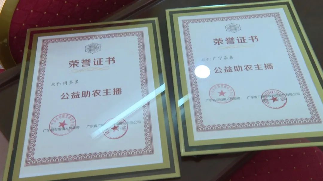 廣東廣電網(wǎng)絡(luò)：智慧廣電網(wǎng)絡(luò)平臺(tái)，開啟廣寧農(nóng)產(chǎn)品銷售新格局